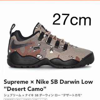 Supreme - Supreme × Nike SB Darwin Low Desert Camo