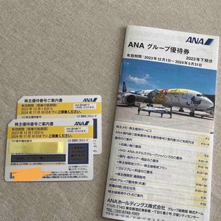 ANA(全日本空輸) - ANA 全日空 株主優待 ２枚 グループ優待券 11月末まで