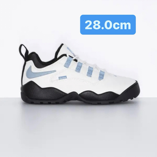 Supreme Nike SB Darwin Low 28cm
