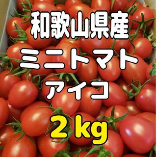 和歌山県産 ミニトマト アイコ ２kg(野菜)