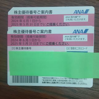 エーエヌエー(ゼンニッポンクウユ)(ANA(全日本空輸))の全日空　ANA　航空券　株主優待割引券(航空券)