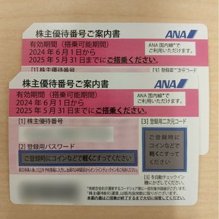 エーエヌエー(ゼンニッポンクウユ)(ANA(全日本空輸))のANA全日空株主優待券2枚セット(その他)