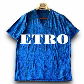 エトロ(ETRO)のC06 美品 ペイズリー 42『エトロ』麻100％ リネン Tシャツ カットソー(Tシャツ/カットソー(半袖/袖なし))