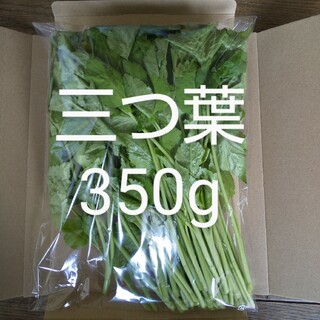 三つ葉 約350g 新鮮 無農薬 天然物(野菜)