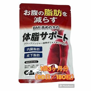 体脂サポート 3ヶ月分 ダイエット 内臓脂肪 皮下脂肪 ＢＭＩ(ダイエット食品)