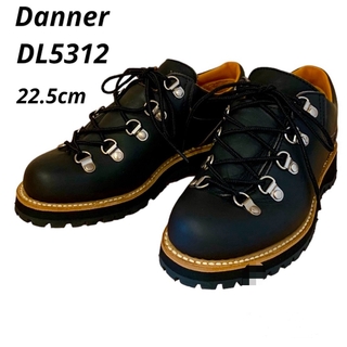 ダナー(Danner)の⭐️美品⭐️ DANNER ダナー⭐️マウンテンブーツ⭐️22.5cm(ブーツ)
