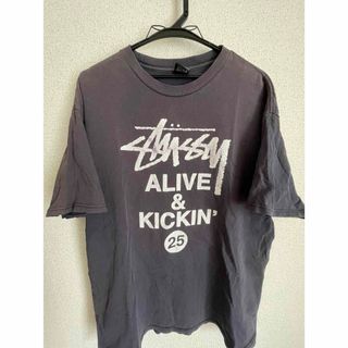 STUSSY - stussy Tシャツ