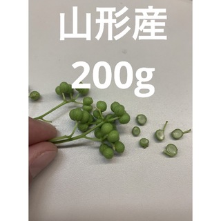 山形県産 山椒の実 無農薬　200g(野菜)