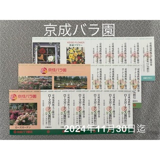 京成バラ園　割引券　　2024年11月30日迄　　薔薇(その他)