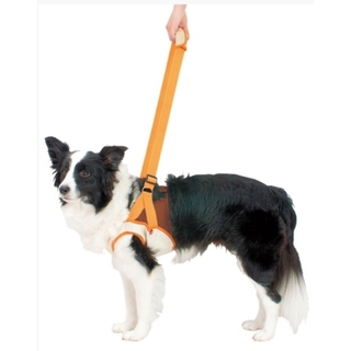 ペティオ(Petio)のペティオ歩行補助ハーネス前足用中型犬２Ｌサイズ20kg介護歩行補助ボーダーコリー(犬)