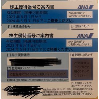 エーエヌエー(ゼンニッポンクウユ)(ANA(全日本空輸))のANA 株主優待(航空券)