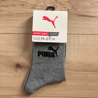 プーマ(PUMA)のプーマ　puma     靴下  19-21㎝(靴下/タイツ)