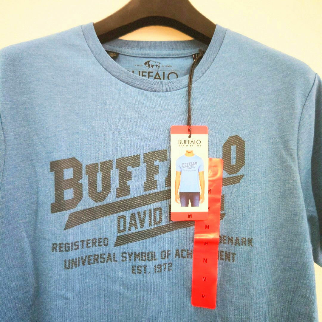 Buffalo(バッファロー)の新品 メンズ Tシャツ 半袖  ブルー Mサイズ メンズのトップス(Tシャツ/カットソー(半袖/袖なし))の商品写真