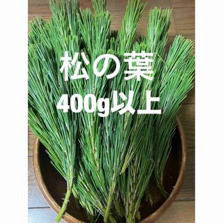 秋田県産松の葉400g以上(野菜)