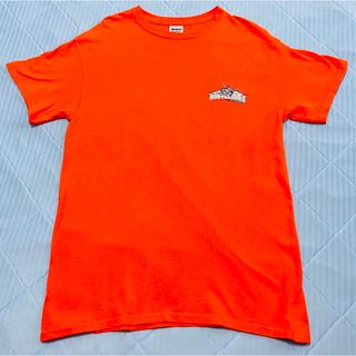 ギルタン(GILDAN)のGILDAN ノースショア　ハワイTシャツM　90年代　サーフィン　美品(Tシャツ/カットソー(半袖/袖なし))