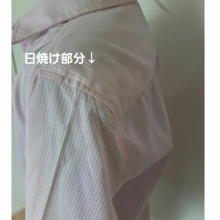 きりたんぽ様専用&ご確認用！ピンクシャツの確認と代替品の候補の写真です(シャツ/ブラウス(長袖/七分))