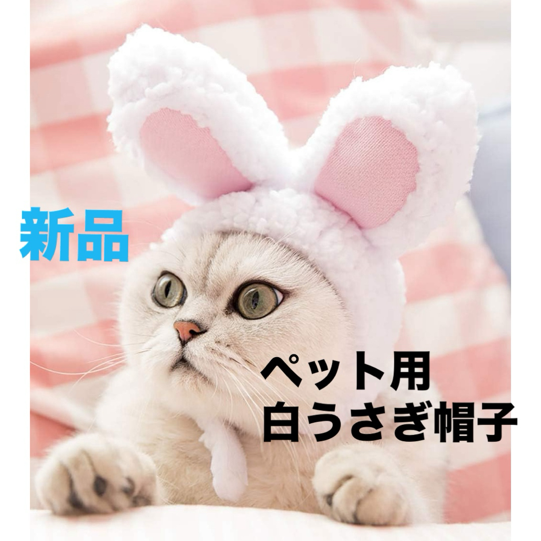 猫帽子 猫コスプレ 白うさぎに大変身 ヘアバンド ペット用帽子