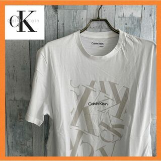 【新品】カルバンクラインCalvin Klein Tシャツ　ロゴ　白