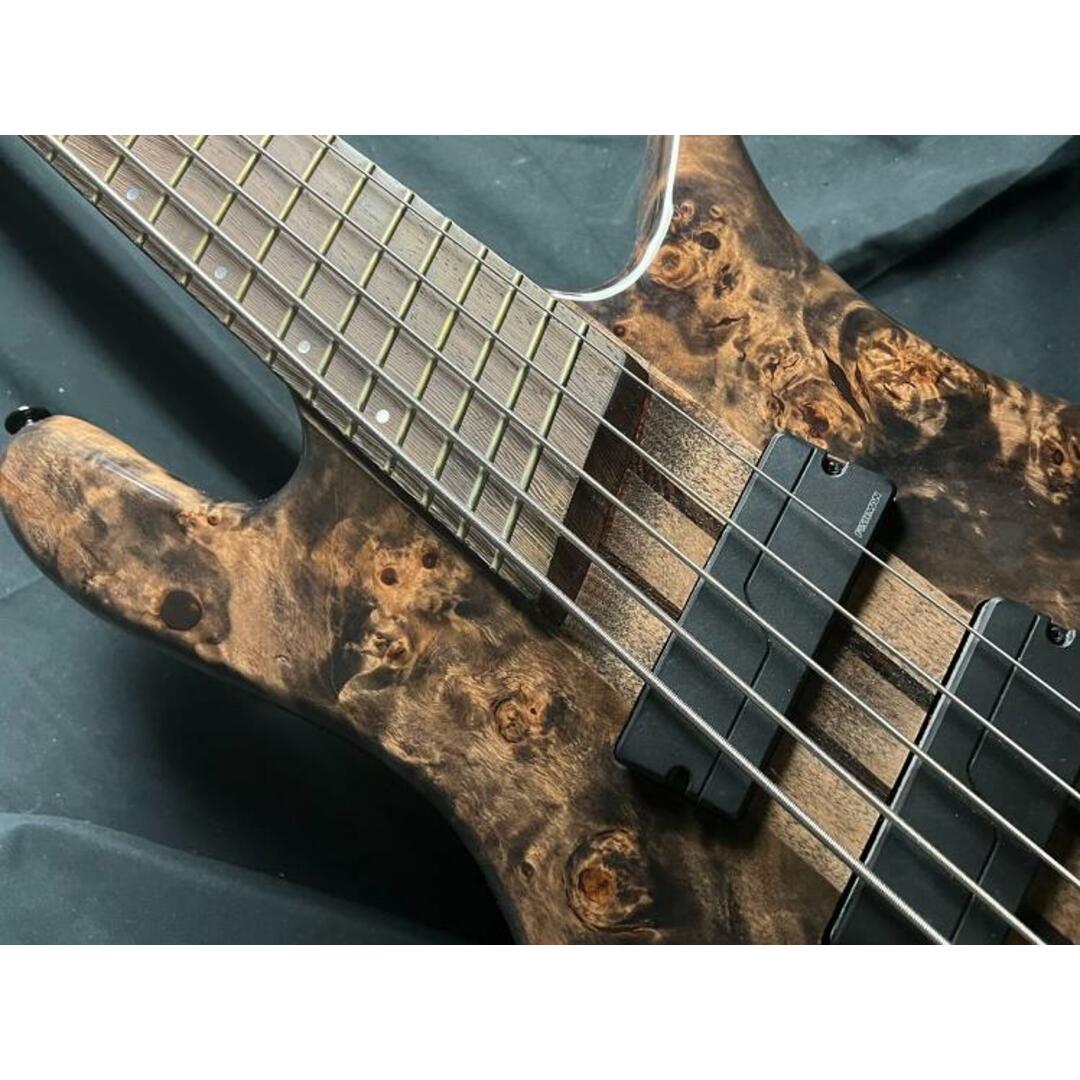 Spector（スペクター）/NS DIMENSION 5 【中古】【USED】エレクトリック・ベース【横浜ビブレ店】 楽器のベース(エレキベース)の商品写真