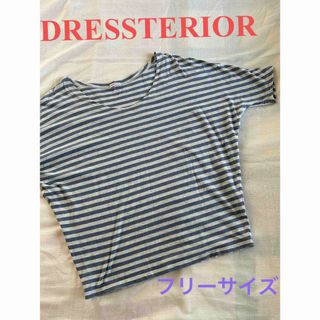 DRESSTERIOR - 【DRESSTERIOR】ドレステリア ドルマンスリーブのボーダーのカットソー