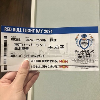 レッドブル(Red Bull)のRED BULL FLIGHT DAY 2024 チケットフライヤー 2枚(その他)