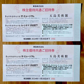 Bunkamura ザ・ミュージアム  ル・シネマ渋谷宮下 五島美術館  ２枚(美術館/博物館)