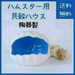 【レア商品】ハムスター ハウス 陶器製 貝殻型(小動物)