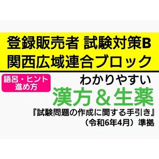 関西広域連合ブロック対策 登録販売者【試験対策B】テキスト 匿名配送2,800円(語学/参考書)