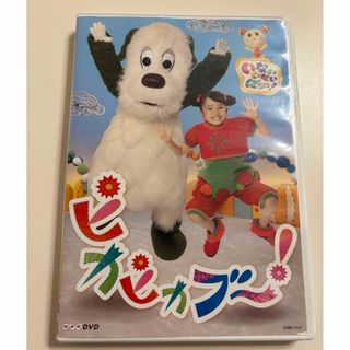 NHKDVD　いないいないばあっ！　ピカピカブ〜！ DVD(キッズ/ファミリー)