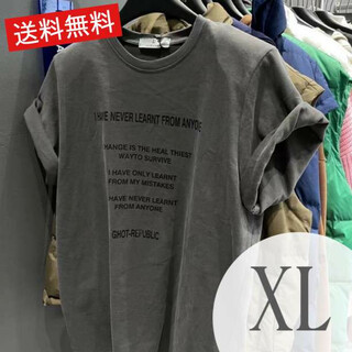 Tシャツ トップス ハン半そで ラウンドネック レディース　XL(Tシャツ(長袖/七分))