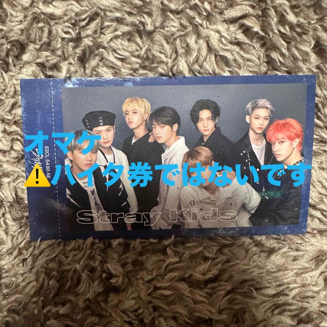 Stray Kids SKZ2020 ハイタッチ券 ヒョンジン やせ細っ チャンビン Stray Kids SKZ2020 ハイタッチ券 ヒョンジン やせ細っ チャンビン