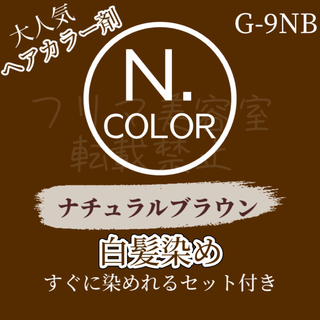 エヌドット G-9NB 白髪染め ブラウン ロング用 ヘアカラー剤 セット
