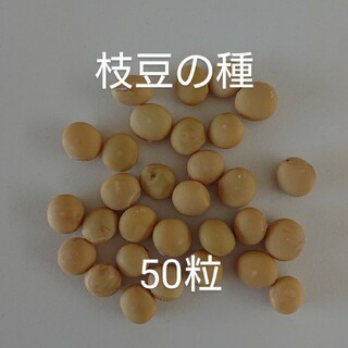【自然栽培】枝豆の種50粒(野菜)