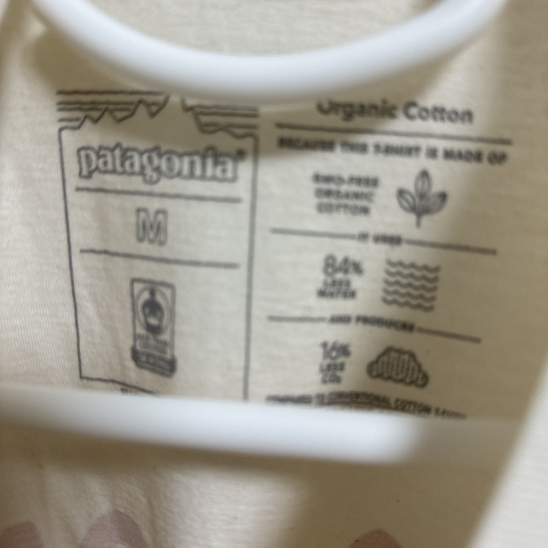 patagonia(パタゴニア)のパタゴニア　Tシャツ メンズのトップス(Tシャツ/カットソー(半袖/袖なし))の商品写真