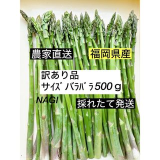 アスパラガス(訳あり品)即購入⭕️(野菜)