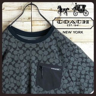 コーチ(COACH)の即完売 COACH コーチ CCロゴ満載 ワンポイントロゴ入り tシャツ(Tシャツ/カットソー(半袖/袖なし))