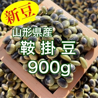 山形県産大豆 鞍掛豆900g(平豆)(野菜)
