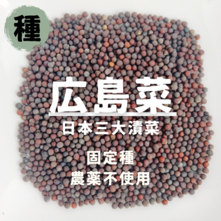 【種】広島菜　無農薬　100粒(野菜)