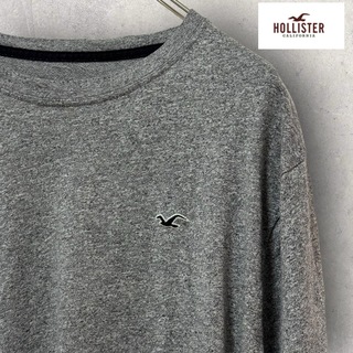 ホリスター(Hollister)のHOLLISTER ホリスター　長袖Tシャツ　ロンT(Tシャツ/カットソー(七分/長袖))