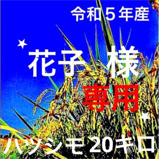 ️ 花子様専用⭐️R５年✳️５回選別・有機・無添加ハツシモ20キロ(米/穀物)