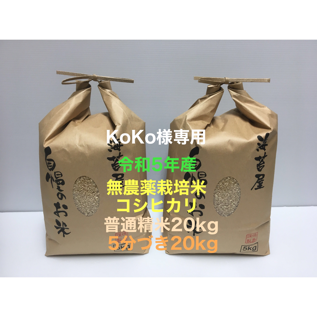 無洗米 さが ひのひかり 20kg(5kg x4) 佐賀 九州 追加購入ok 無洗米 さが ひのひかり 20kg(5kg x4) 佐賀 九州 追加購入ok