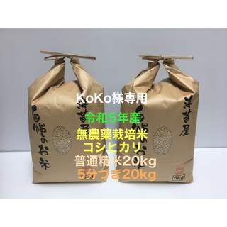 KoKo様専用 無農薬コシヒカリ普通精米20kg、5分づき20kg 2個口梱包(米/穀物)
