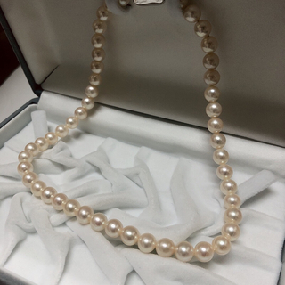 極美品☆ あこや真珠 アコヤ真珠 本真珠 ネックレス 約8mm SILVER
