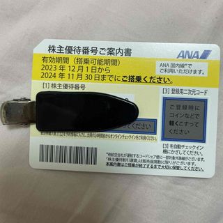 エーエヌエー(ゼンニッポンクウユ)(ANA(全日本空輸))のANA株主優待券　国内線(航空券)