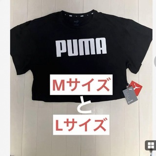 プーマ(PUMA)の新品　プーマ　PUMA Tシャツグロップド丈・ショート丈　ダンス　ヨガ　MorL(Tシャツ(半袖/袖なし))