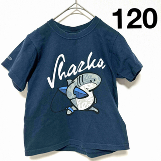 ● Crazy Shirts Sharka Tシャツ ワイドシルエット USED(Tシャツ/カットソー)