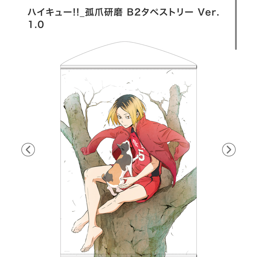 新品未開封】ハイキュー!!_孤爪研磨 B2タペストリー Ver.1.0の 新品未開封】ハイキュー!!_孤爪研磨 B2タペストリー Ver.1.0の