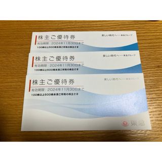 東急 株主優待 3冊 (100株以上500株未満) 2024年11月30日まで(その他)