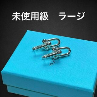 ティファニー(Tiffany & Co.)の✨未使用級✨　ティファニー　ハードウェア　ラージリンク　ピアス as17(ピアス(両耳用))