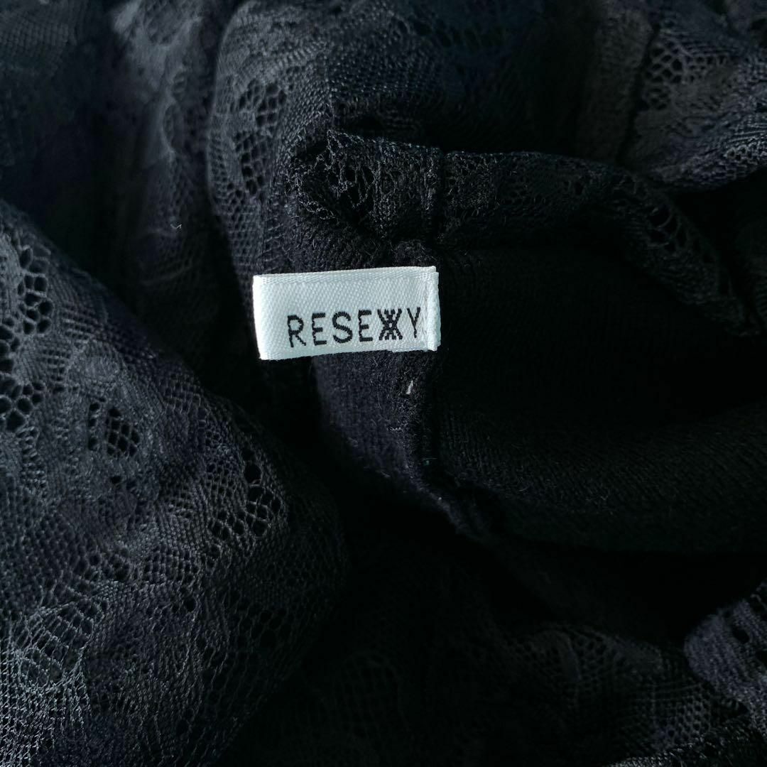RESEXXY(リゼクシー)の968 リゼクシー　チュールカットワークレーススカート　シアー　チュール レディースのスカート(ロングスカート)の商品写真